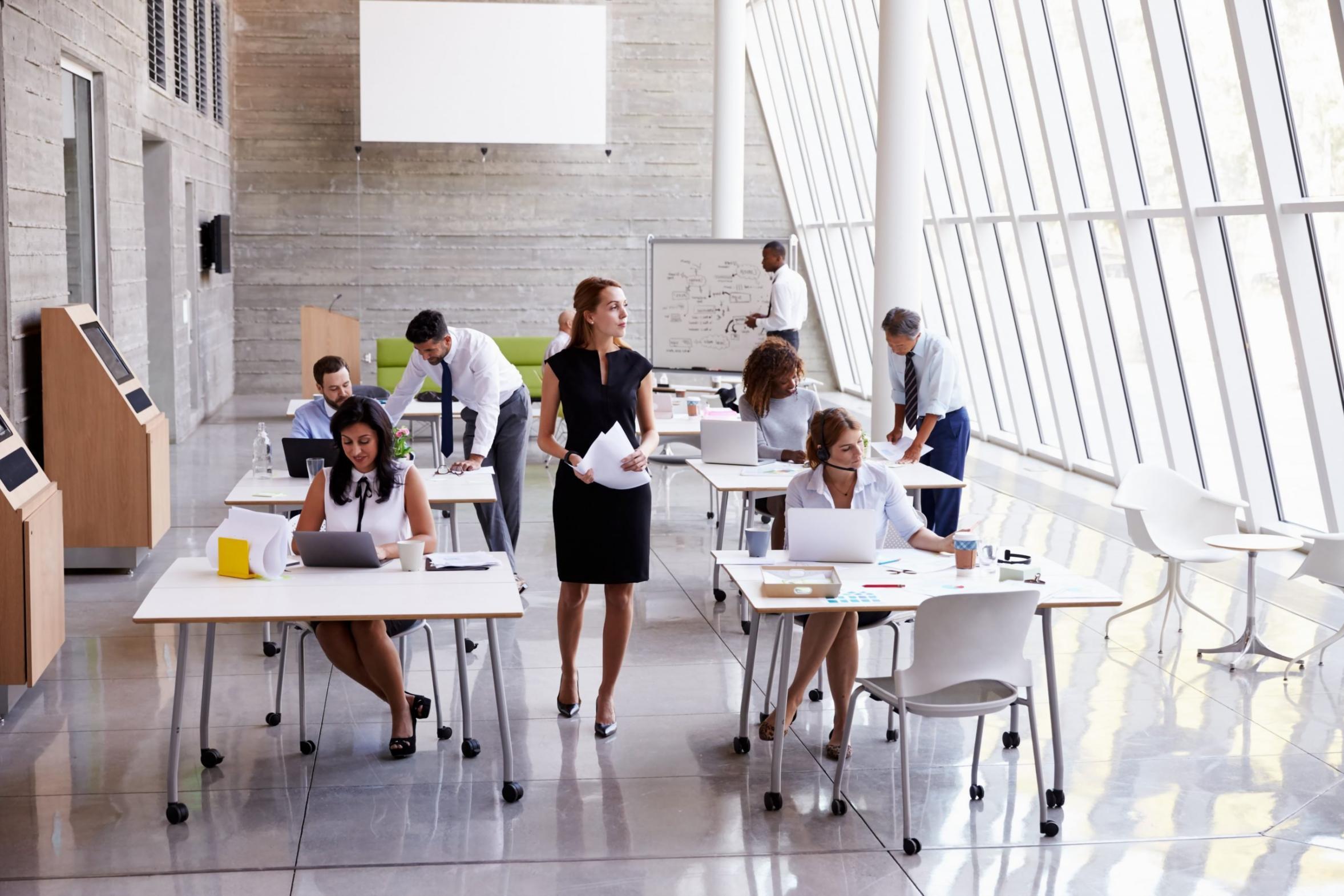 Professionelle Budgetierungsschulung